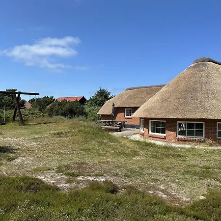 Seppo - 900m From The Sea In Western Jutland By Interhome * Ringkøbing